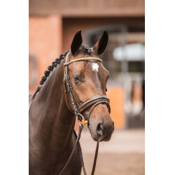 Frontal Horze Nancy Cristal met frontriem lijn Horze Bruin / roségoud