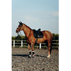 Tapis de selle de dressage Drew B Vertigo Noir