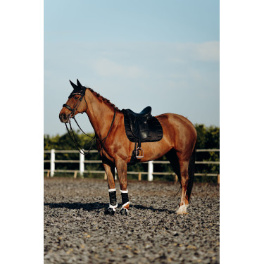 Tapis de selle de dressage Drew B Vertigo Tapis de selle de dressage Drew B Vertigo