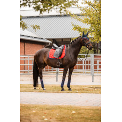Tapis de selle de dressage Amory avec monogramme brodé B Vetigo Rouge rose barberry