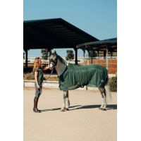 Masque anti-mouches Horze Oslo Coriandre verte Masque anti-mouches Horze Oslo Coriandre verte