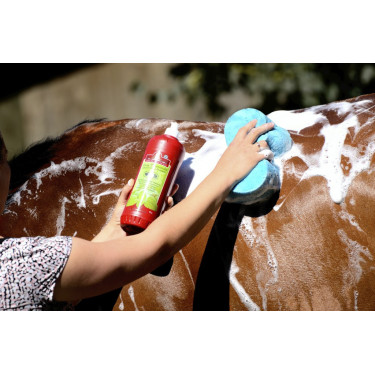 Shampoing Lucy diamonds