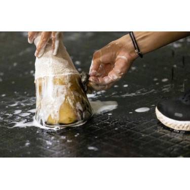 Shampoing Lucy diamonds