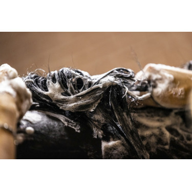 Shampoing Lucy diamonds