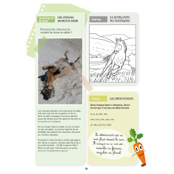 Mijn Activiteitenboek Niveau CE1 Lavauzelle Mijn Activiteitenboek Niveau CE1 Lavauzelle