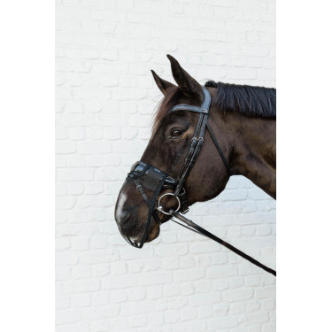 Filet de nez Kentucky Noir