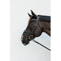 Kentucky neusriem Zwart Kentucky neusriem Zwart