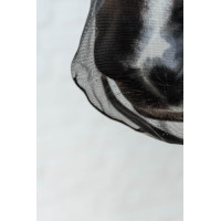 Filet de nez Kentucky Noir