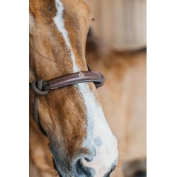 Licol éthologique Dy'on Marron Licol éthologique Dy'on Marron