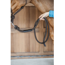 Longe Dy'on avec mousqueton Marron