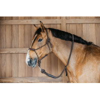 Longe Dy'on met musketon Bruin