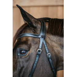 Bridon sans mors Bitless Dy'on Noir