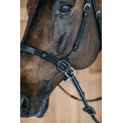 Bridon sans mors Bitless Dy'on Noir