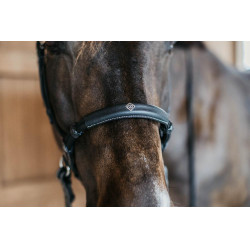 Bridon sans mors Bitless Dy'on Noir