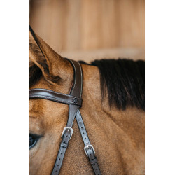 Bridon sans mors Bitless Dy'on Marron