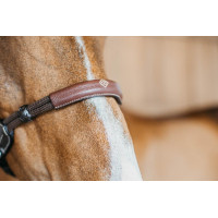 Bitloze hoofdstel zonder bit Dy'on Zwart Bitloze hoofdstel zonder bit Dy'on Zwart