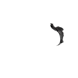 Selle Western pour jouet Mini Poney LeMieux Noir Selle Western pour jouet Mini Poney LeMieux Noir