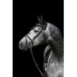 Vliegenmasker Empara Covalliero Zwart