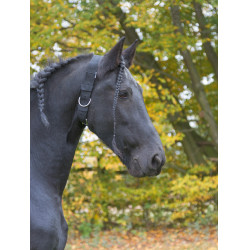 Collier d’attache Kerbl Noir Collier d’attache Kerbl Noir