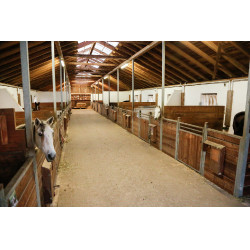 Caméra IPCam 360 FHD Compact Kerbl Noir