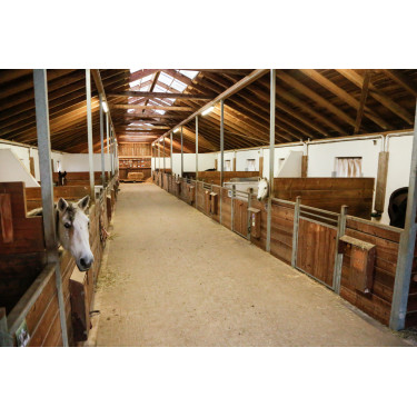 IPCam 360 FHD Compacte Camera Kerbl Zwart