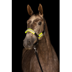 Set hoofdstel + halster reflecterend Covalliero Set hoofdstel + halster reflecterend Covalliero