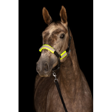 Set hoofdstel + halster reflecterend Covalliero Set hoofdstel + halster reflecterend Covalliero