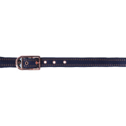 Licol cheval Royal Covalliero Bleu / caramel Licol cheval Royal Covalliero Bleu / caramel