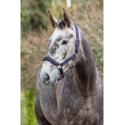 Licol cheval Royal Covalliero Bleu / caramel Licol cheval Royal Covalliero Bleu / caramel