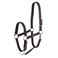 Licol cheval Royal Covalliero Noir / fuchsia