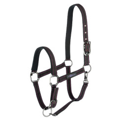 Licol cheval Royal Covalliero Noir / fuchsia