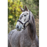 Halster paard Royal Covalliero Blauw / karamel