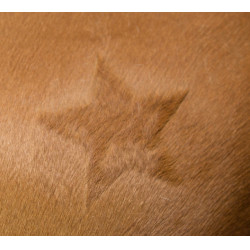 Pochoir de tonte Kerbl