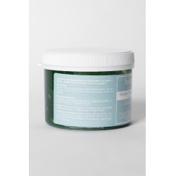 Régulateur d'humidité Hiver Horze Éther bleu clair Régulateur d'humidité Hiver Horze Éther bleu clair