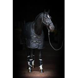 Couverture RugBe IceProtect 200