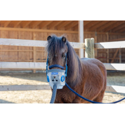 Masque d’inhalation AirOne avec accessoires Hippomed