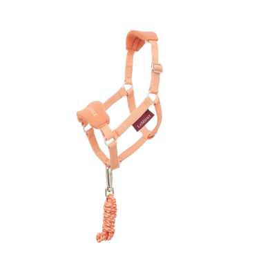 Licol pour hobby horse LeMieux Abricot Orange