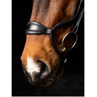 Bridon LeMieux Arika anatomische verstelbare neusriem Zwart / zilver