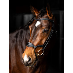 Bridon LeMieux Arika anatomische verstelbare neusriem Zwart / zilver Bridon LeMieux Arika anatomische verstelbare neusriem Zwart / zilver
