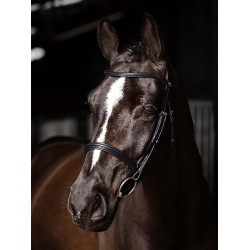 Bridon LeMieux Arika Neusriem Zwart / zilver Bridon LeMieux Arika Neusriem Zwart / zilver