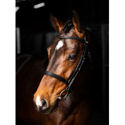 Bridon LeMieux Arika Neusriem Zwart / zilver Bridon LeMieux Arika Neusriem Zwart / zilver