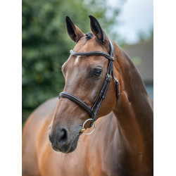 Bridon LeMieux Arika Neusriem Bruin / zilver Bridon LeMieux Arika Neusriem Bruin / zilver