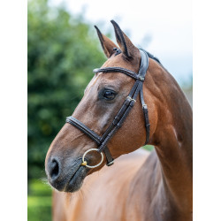 Bridon LeMieux Arika Neusriem Bruin / zilver Bridon LeMieux Arika Neusriem Bruin / zilver