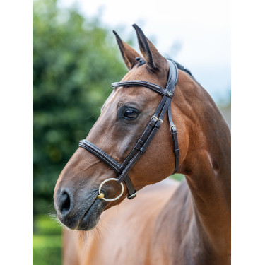 Bridon LeMieux Arika Neusriem Bruin / zilver Bridon LeMieux Arika Neusriem Bruin / zilver