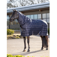 Couverture Arika Stable-Tek 350 g LeMieux