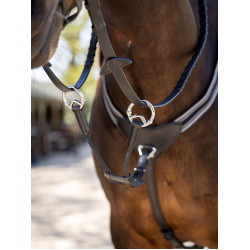 Martingale LeMieux élastique avec protection de poitrail Martingale LeMieux élastique avec protection de poitrail