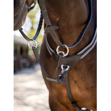Martingale LeMieux élastique avec protection de poitrail Martingale LeMieux élastique avec protection de poitrail