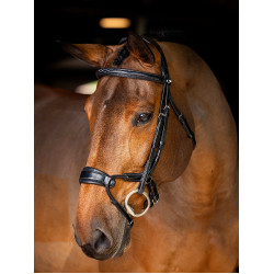 Bridon LeMieux Kudos muserolle anatomique réglable Noir / argent Bridon LeMieux Kudos muserolle anatomique réglable Noir / argent