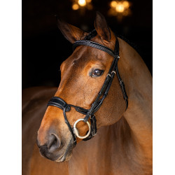 Bridon LeMieux Kudos muserolle anatomique réglable Noir / argent Bridon LeMieux Kudos muserolle anatomique réglable Noir / argent