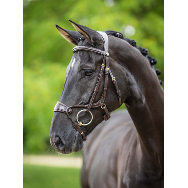 Bridon LeMieux Kudos anatomisch verstelbare neusriem Havana / messing Bruin